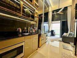 The Gazania (D19), Condominium #566719751
